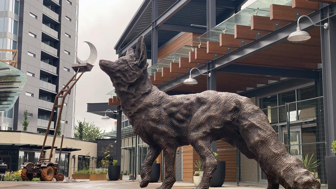 Sculpture of a fox standing on a wooden bench surrounded by buildings.