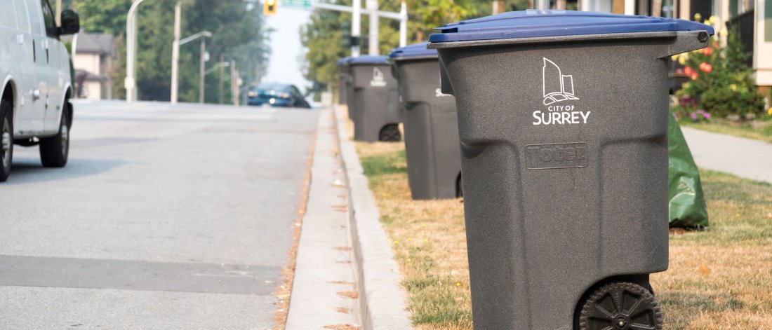 recycling cart out for collectionhttps://edit.surrey.ca/sites/default/files/styles/large/public/2024-12/20170808-WML8314-Resize.jpg?itok=_Vw6IlbY