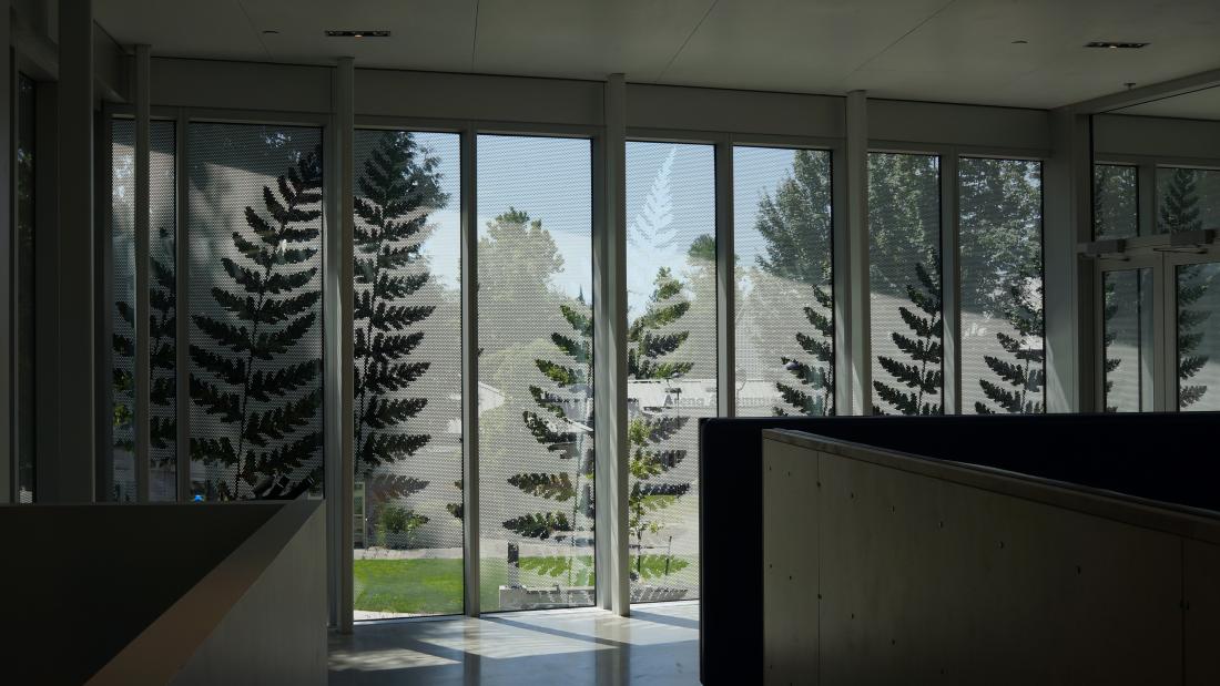 Fern Facade interior