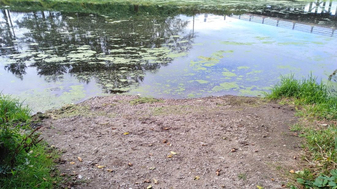 A gravel patch next to a river
