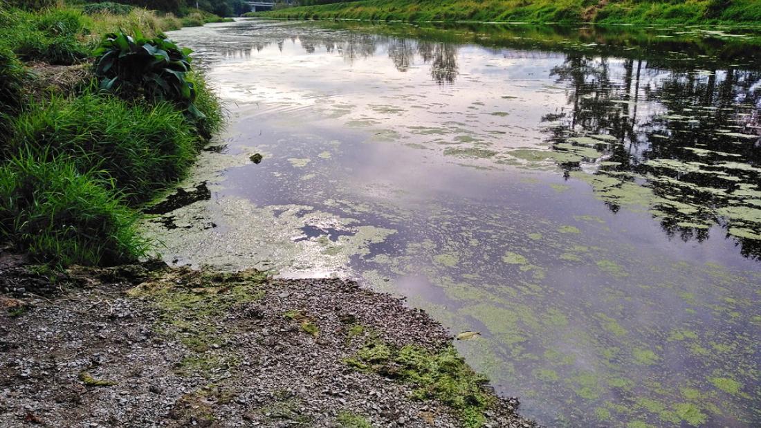 Gravel patch next to a river