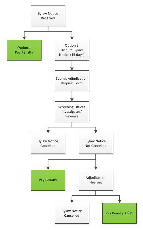 Adjudication Process Flow
