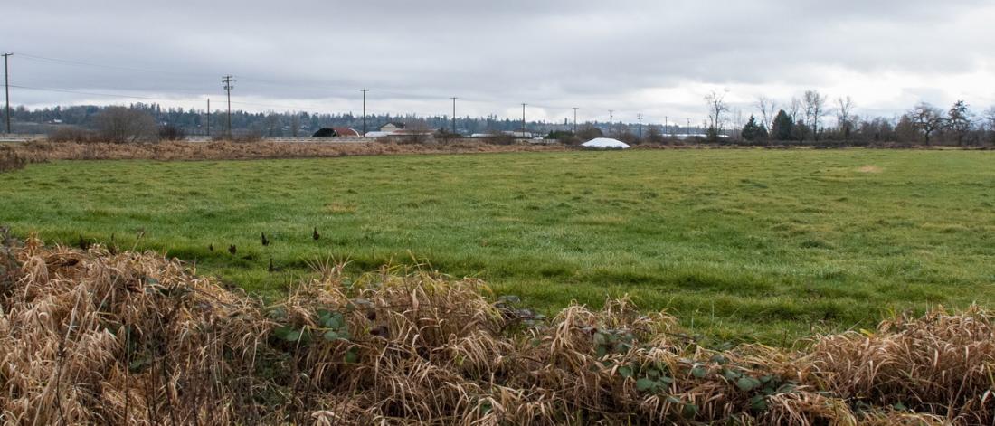 Agricultural Land