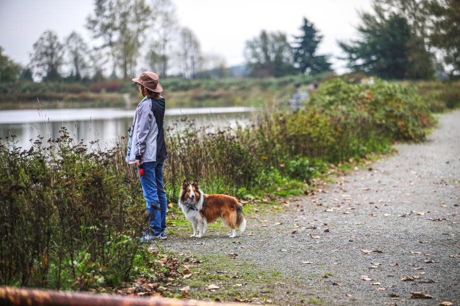 Person with their dog on a trail