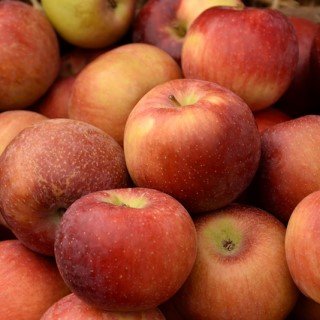 Multiple red-orange apples in a pile