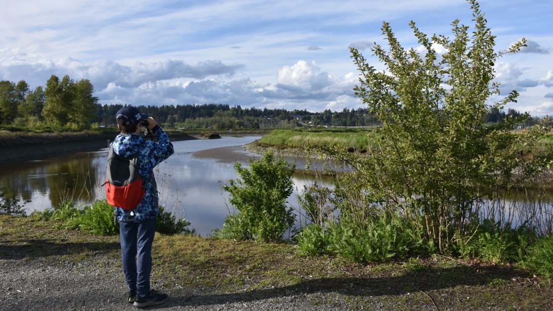 April 29, Bird BioBlitz, Serpentine Fen