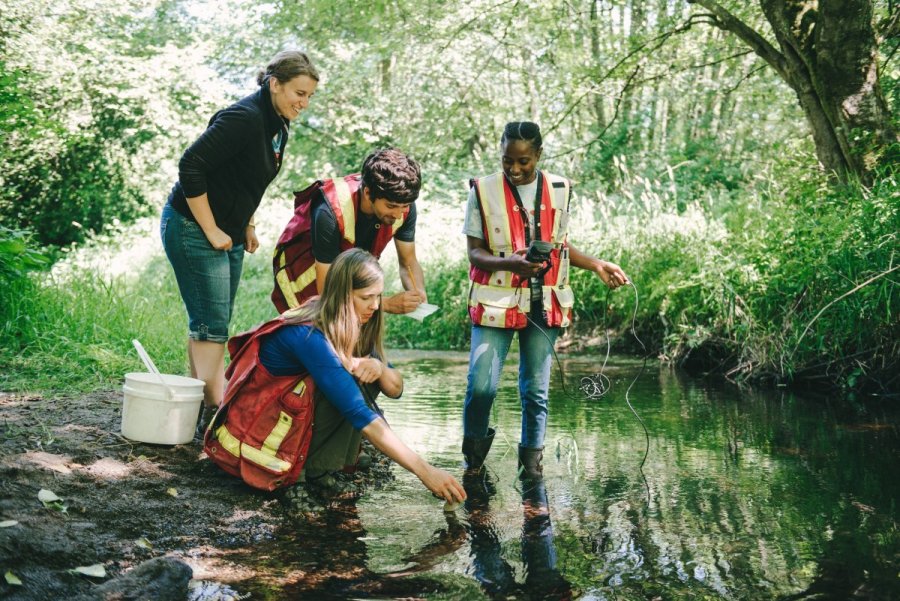 Field team conducting water quality testing in a forest stream.