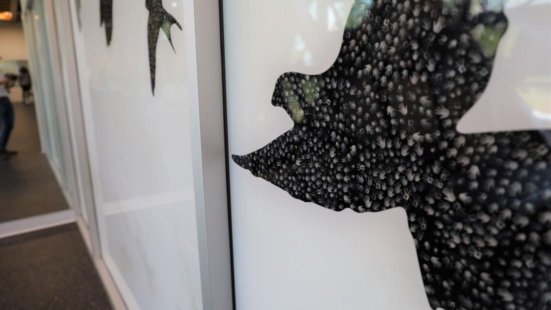 A close up of a black bird silhouette on a window