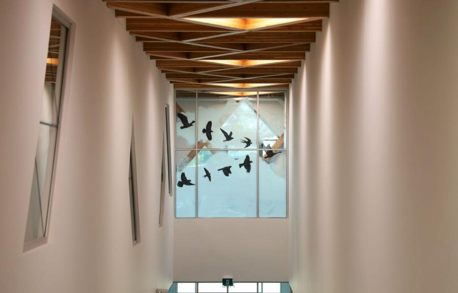Six black silhouettes of birds flying in a V formation in a window