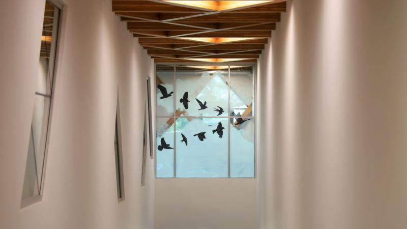 Six black silhouettes of birds flying in a V formation in a window