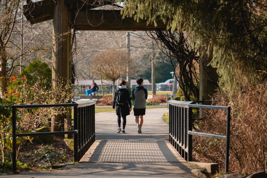 two people walk under an arbour