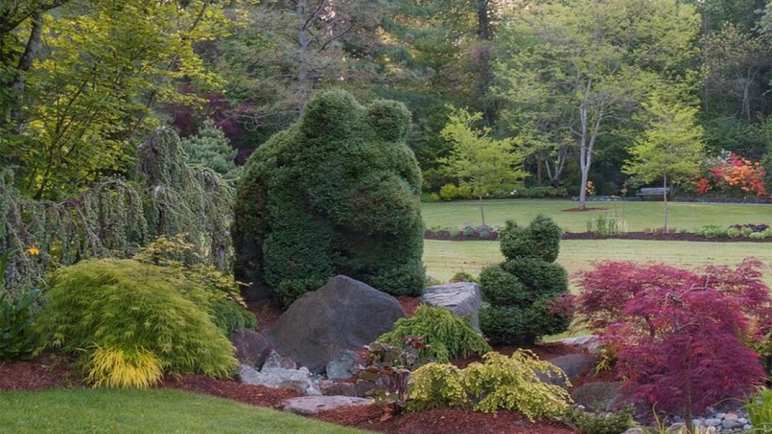 Bear at Bear Creek Garden