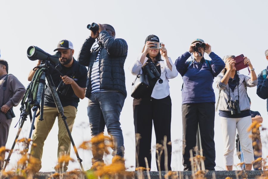 Group of birdwatchers using binoculars and scopes in an open field.