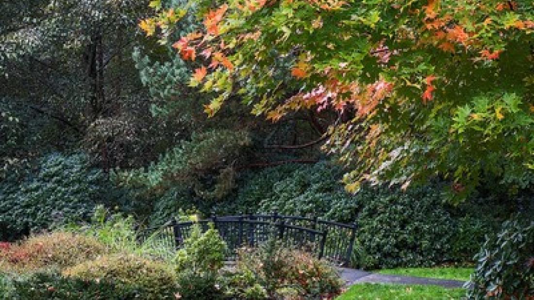 Bridge in Hawthorne Gardens