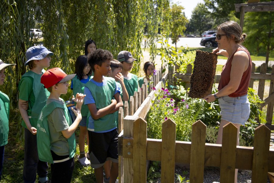 Art Campers in green pinnies look over a fence at a beekeeper showing a part of the hive.