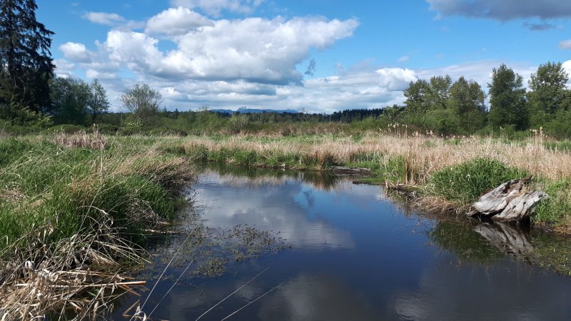 Charles Richardson Nature Reserve