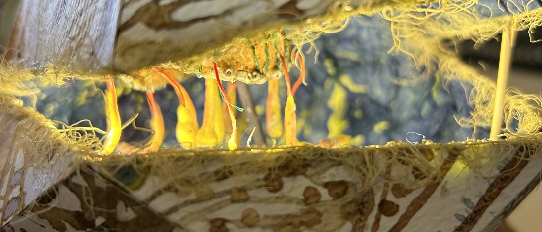 Claire Moore, Illuminated Pods, 2025, paper, natural and plastic materials, motion sensor, filament lights