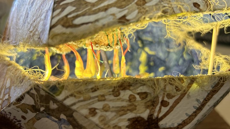 Claire Moore, Illuminated Pods, 2025, paper, natural and plastic materials, motion sensor, filament lights