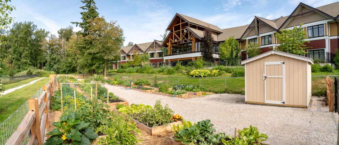 Community garden plots with townhouses in background