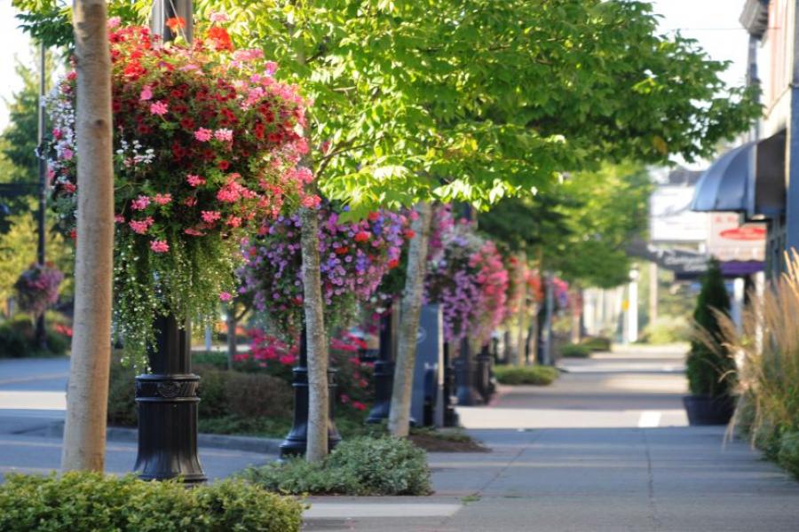 sidewalk with hanging baskets