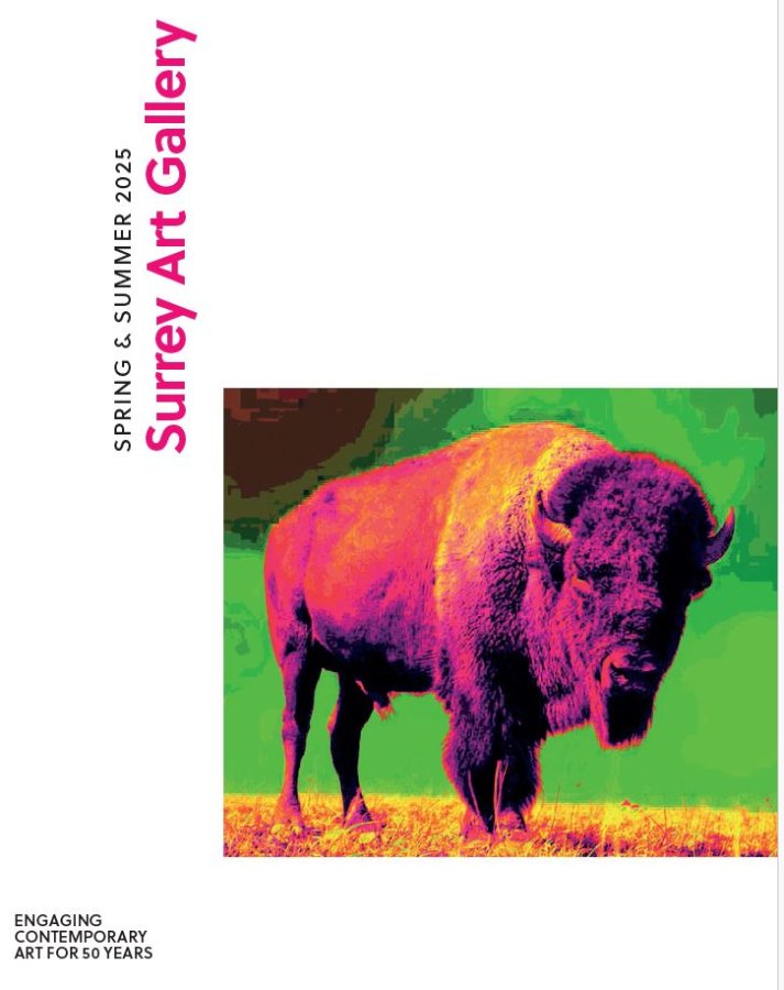 White program guide cover featuring a square photograph of a bison in neon pinks, oranges, and purples against a green backdrop situated in the bottom third of the page. Along the left-hand side going up the page says, “Spring & Summer 2025” in black font and underneath in larger pink font, “Surrey Art Gallery.” In the bottom left corner in black text reads, “Engaging contemporary art for 50 years.”