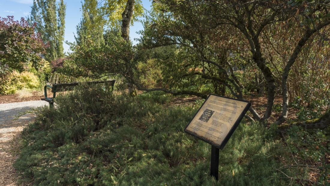 Creating a WaterWise Garden