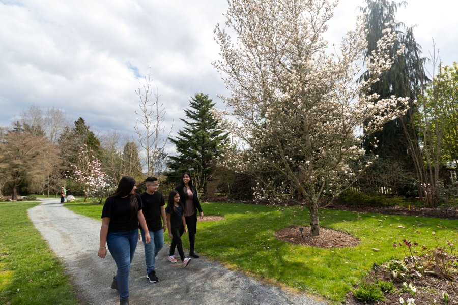 family walks along a trail infront of trees with small budding flowers