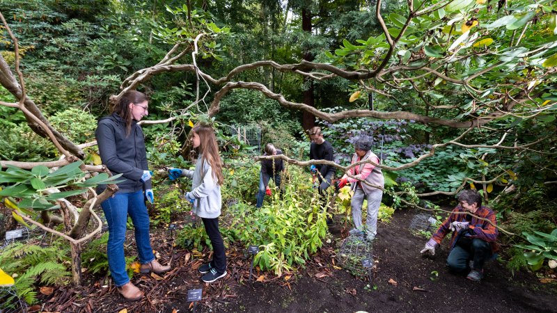Work Party at Darts Hill Garden Park
