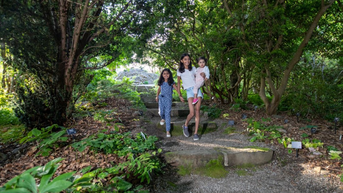 Three children exploring Darts Hill Garden Park