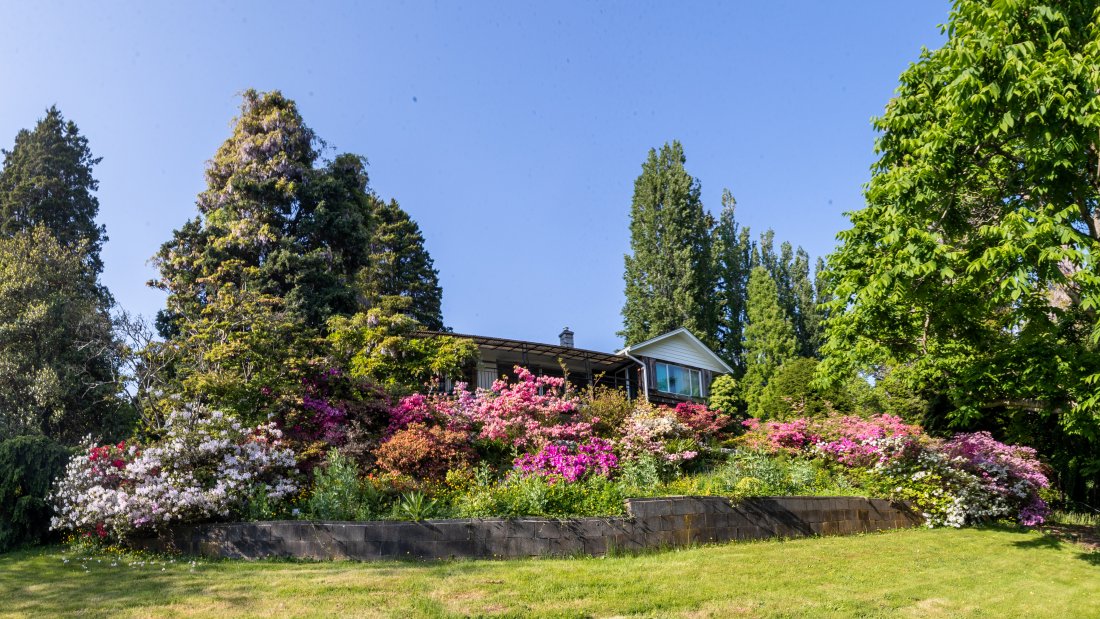 Darts House and Garden Beds