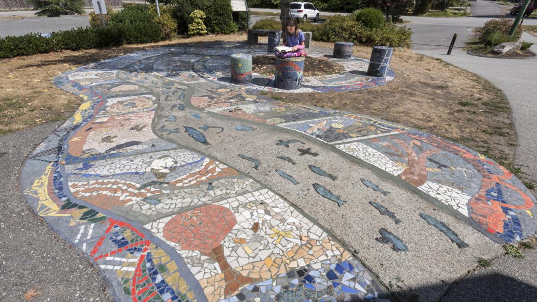 Mosaic Pathway