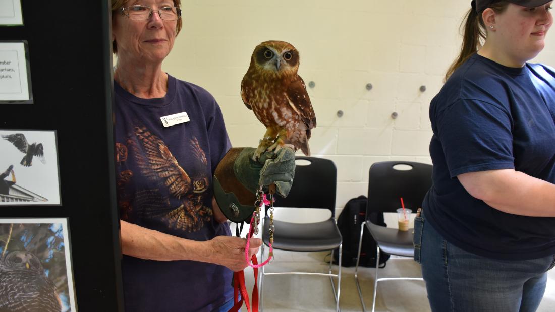 A person holding an owl.