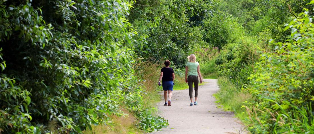 Two people walking on a park trail.
