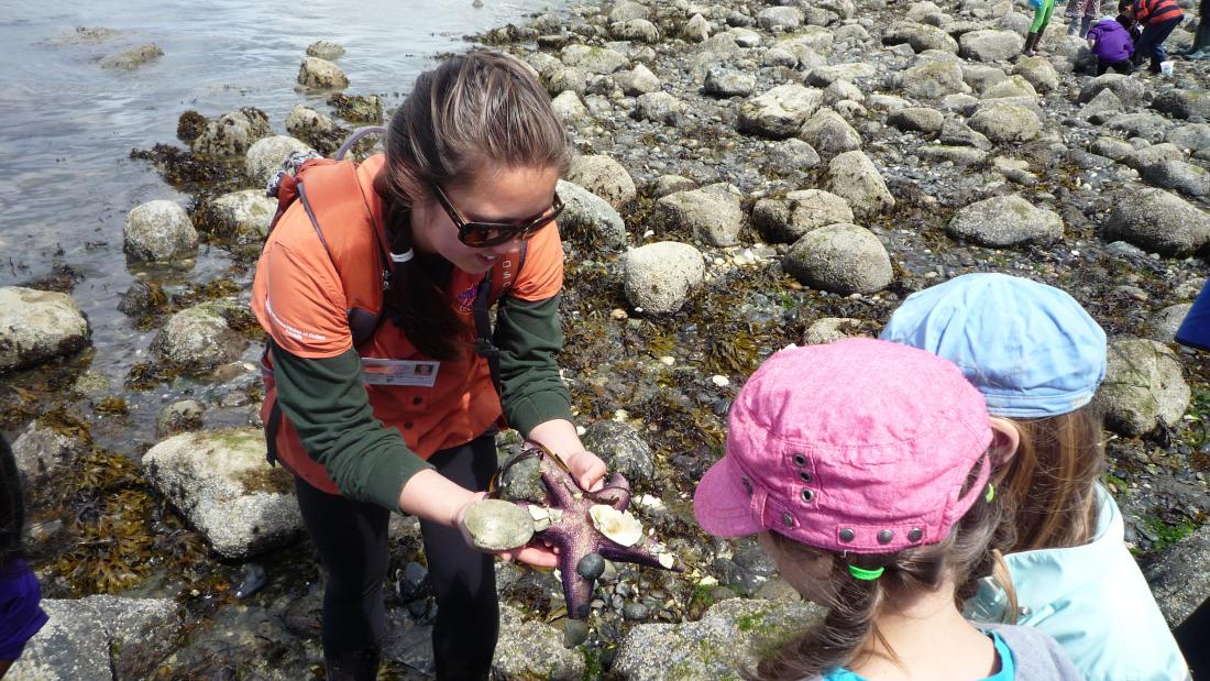 A person holding a seastar.