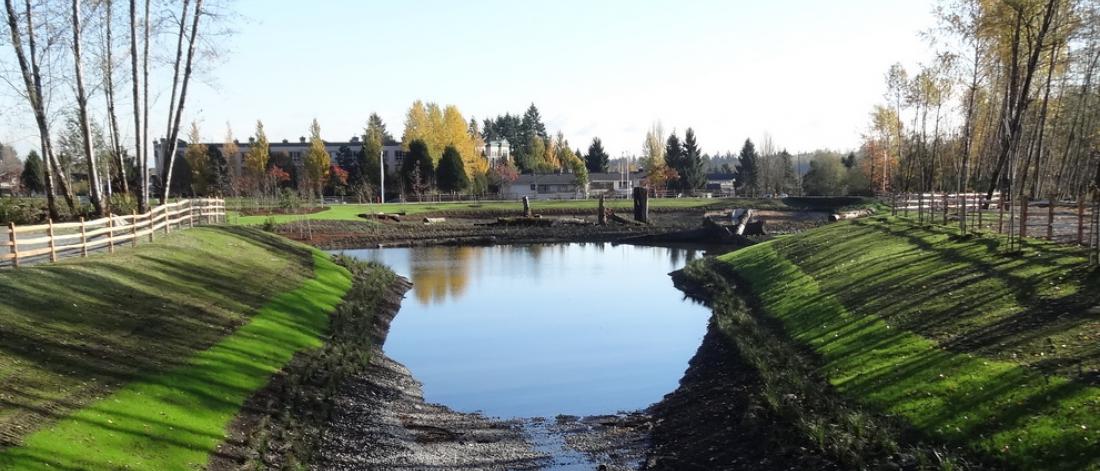 Detention pond
