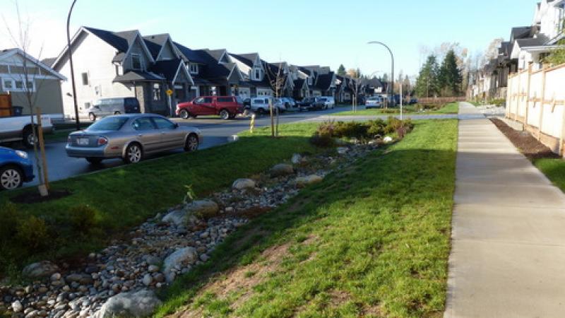 Sustainable Drainage example