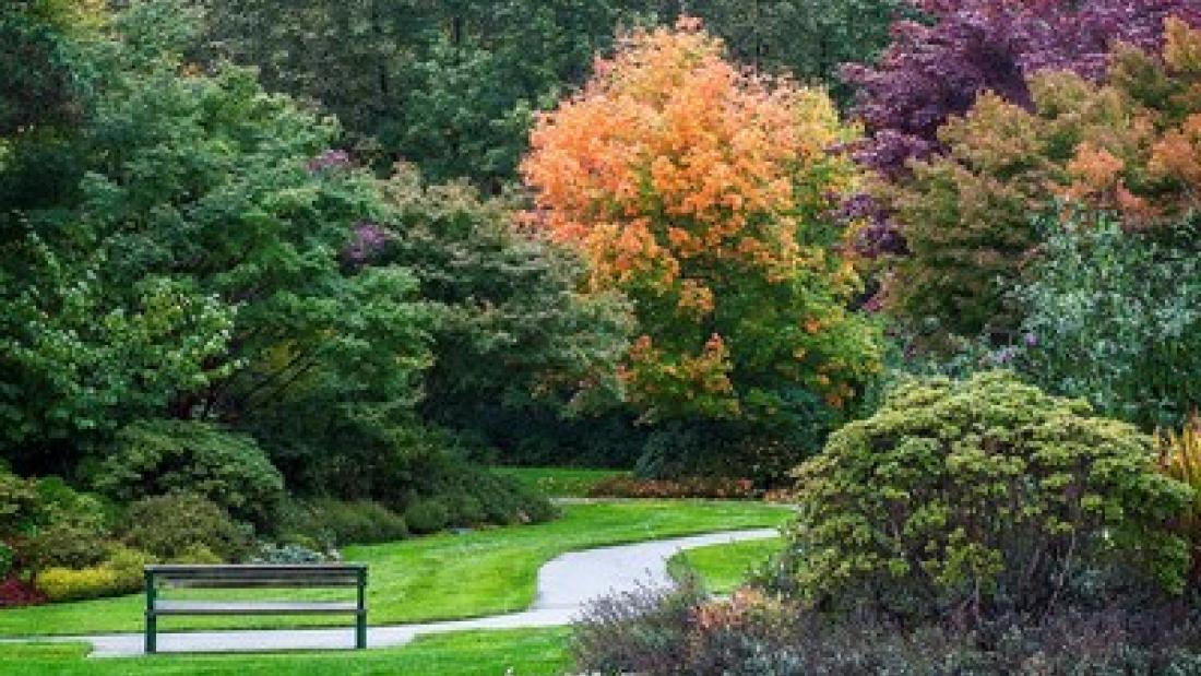 Fall Colours in Hawthorne Gardens