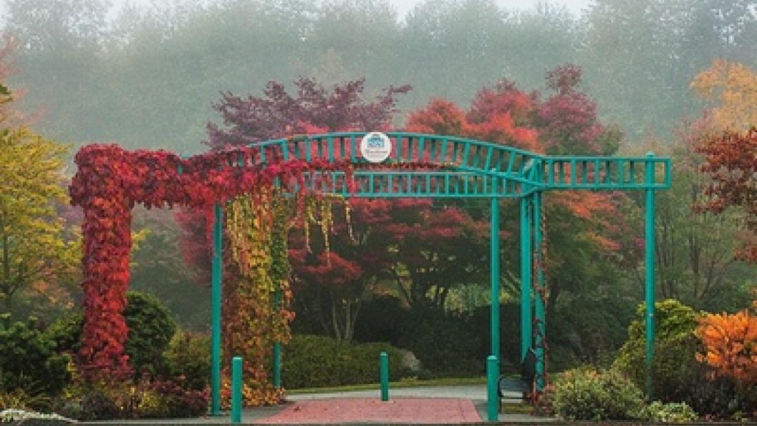 Fall Entry to Hawthorne Gardens