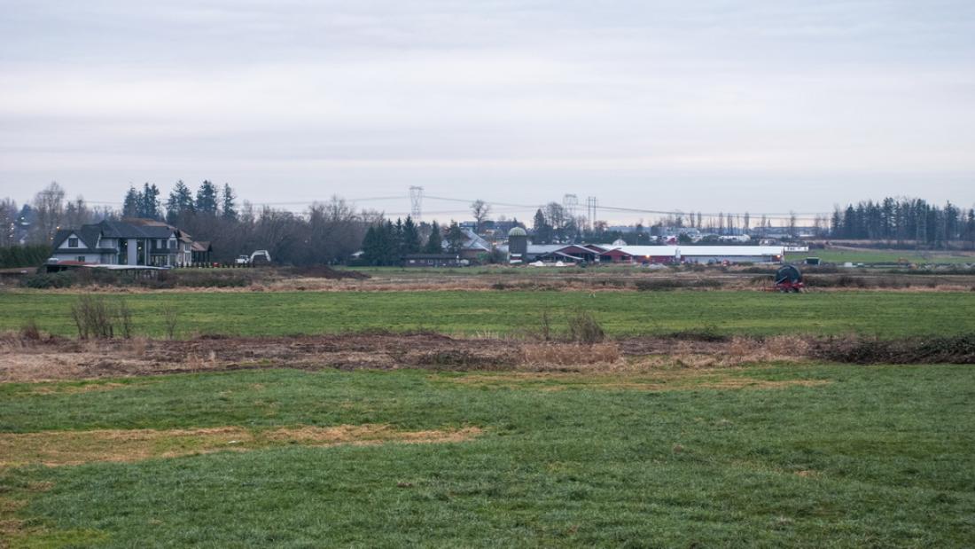 Farm Landscape