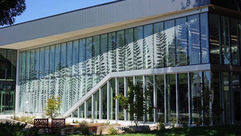 Sean Alward - Fern Façade