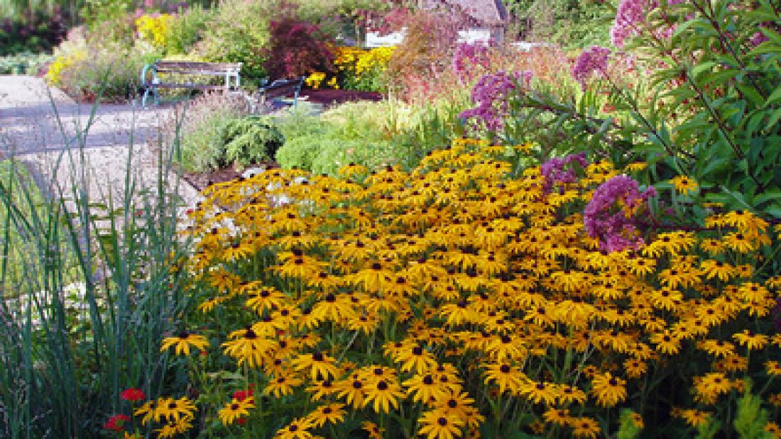 Flowers at Fleetwood