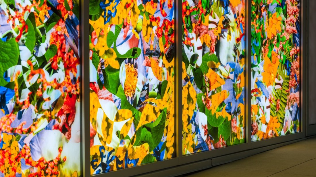  A brightly lit floral art installation on an urban building.