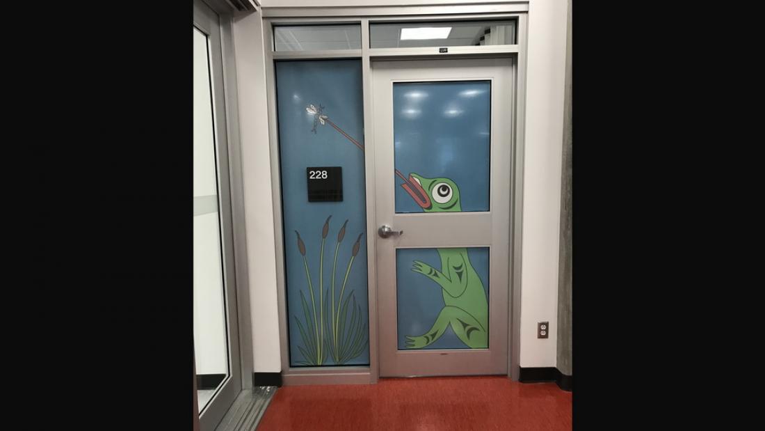 Frog and Fly ESS Art