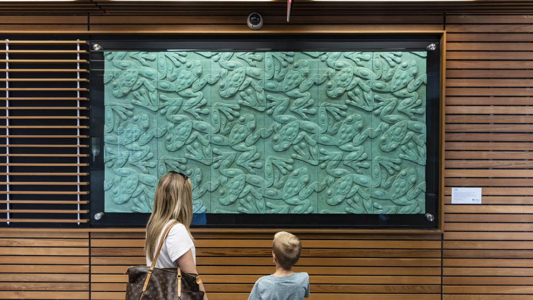 Visitors looking at Frogs