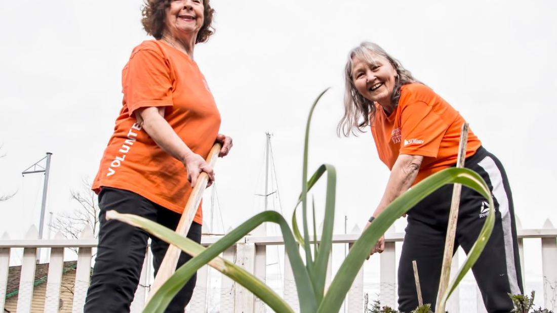 Volunteers in the heritage garden