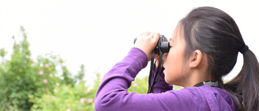 Resources for Outdoor Learning