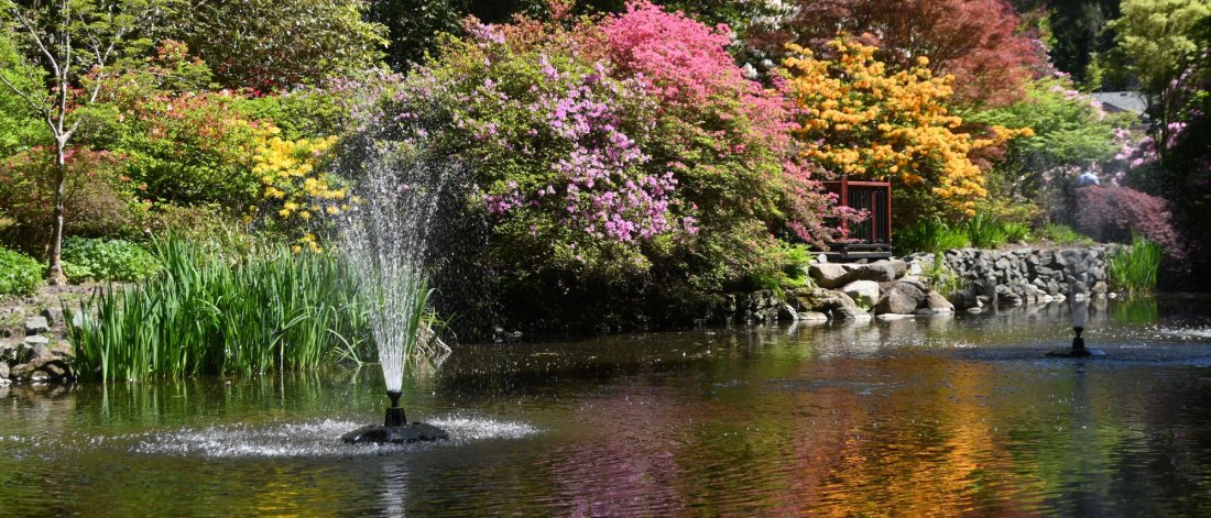 a fountain jet water into a pond