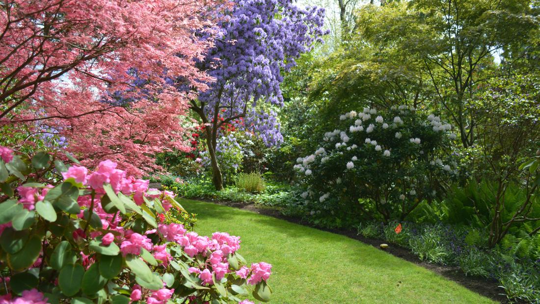 Glades Woodland Garden