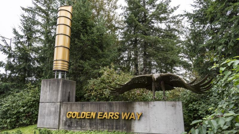 Bernie Jestrabek-Hart - Golden Ears Way Eagle
