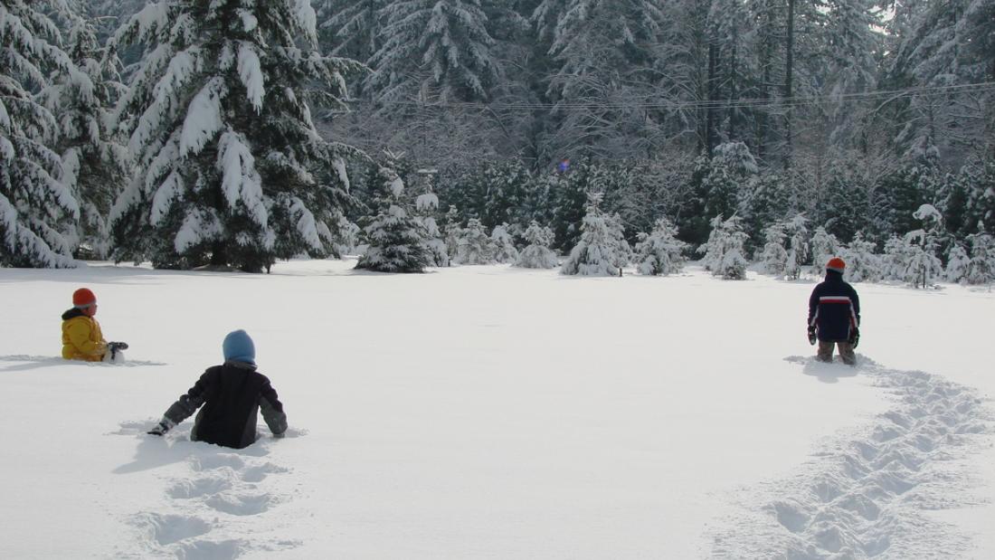 People walking in snow at Green Timbers Urban Forest
